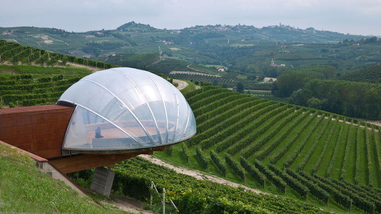 🍇 Ceretto (Piedmont)
