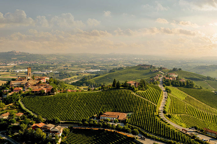 🍇 Gaja (Piedmont & Tuscany)