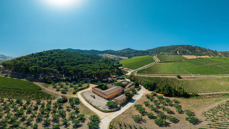 🍇 Planeta (Sicily)